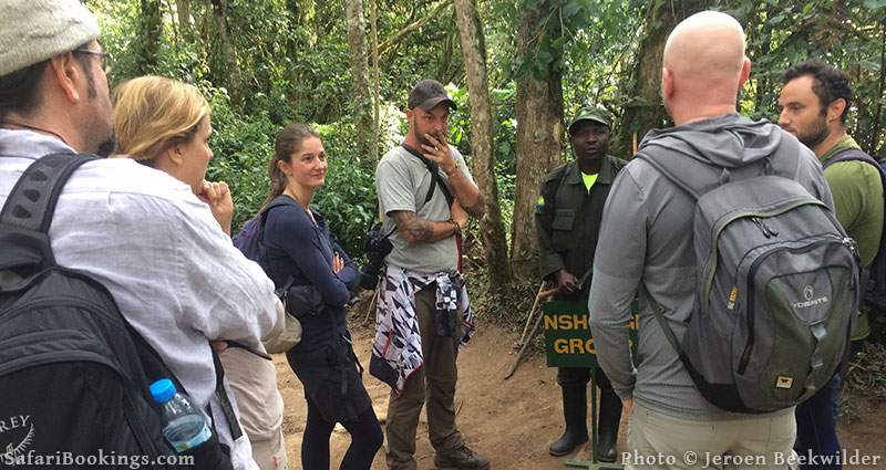 Briefing Mountain Gorilla trekking tour