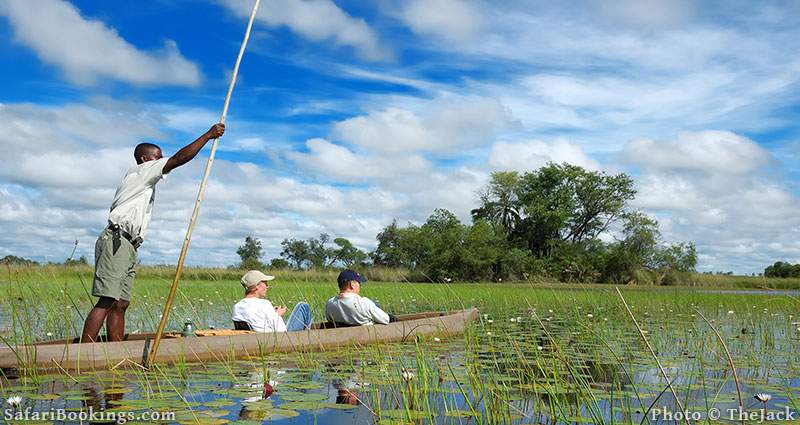 Mokoro ride in Okavango Delta in Botswana