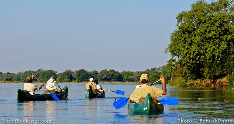 Canoeing in Mana Pools National Park in Zimbabwe