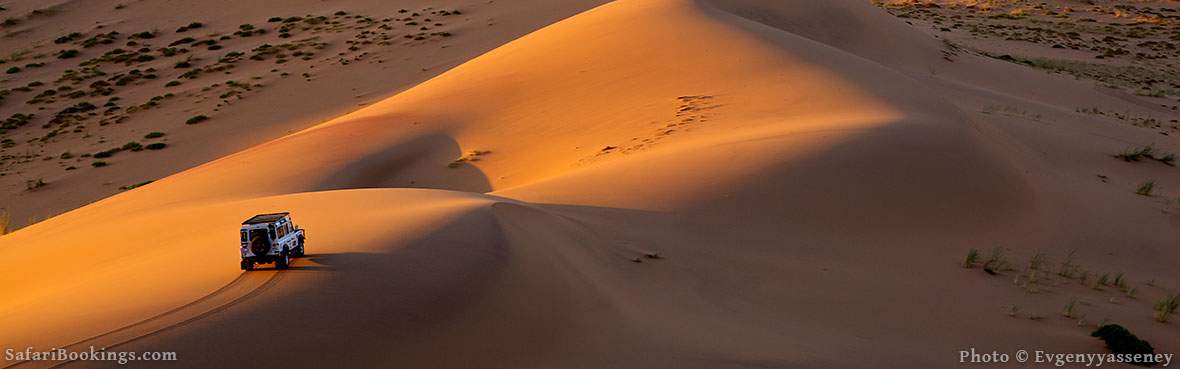 10 Interesting Namib Desert Facts Safaribookings