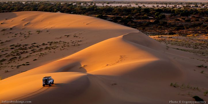 Desert namib Namibia’s Incredible