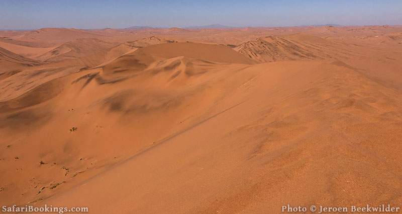 10 Facts About the Namib Sand Dunes - On The Go Tours Blog