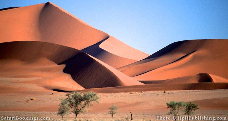 Sand dunes in Namib Naukluft National Park, namibia