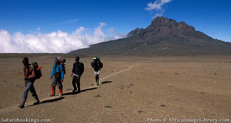 Kilimanjaro 2024 hike distance