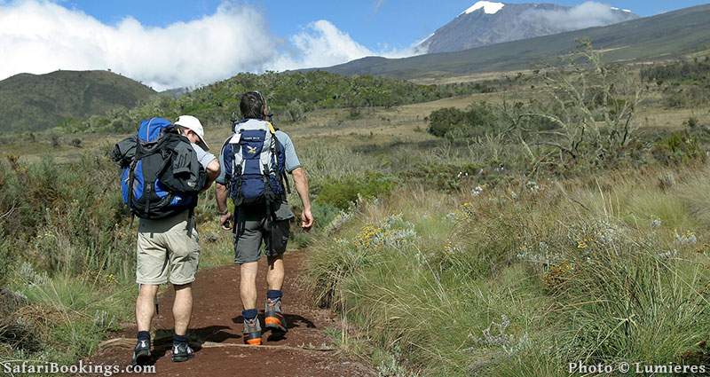 Hiking on Mount Kilimanjaro, Tanzania