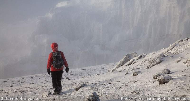 kilimanjaro climb mount take does safaribookings seasons