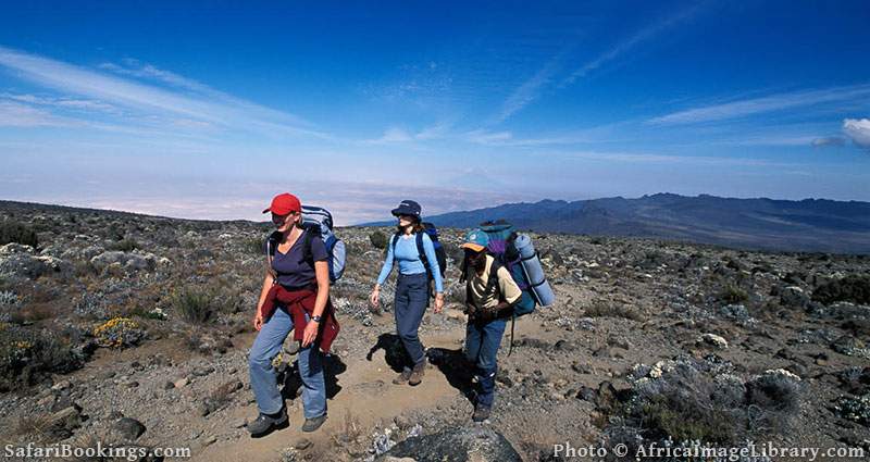 Climbing Mount Kilimanjaro, Tanzania