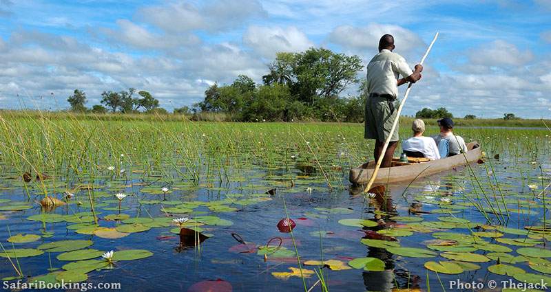 Mokoro trip over the Okavango delta, Botswana