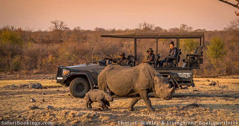 Top 10 Best Safari Lodges and Camps Near Victoria Falls – SafariBookings