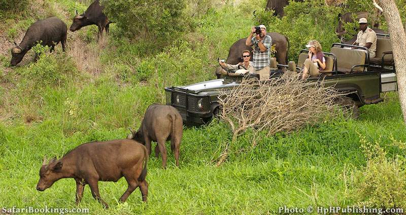 Kruger National Park in December - Discover Africa Safaris