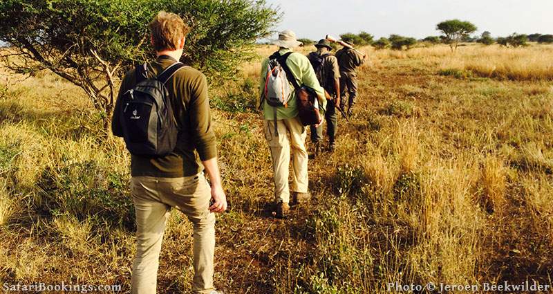 Walking Safari at Kruger National Park, South Africa