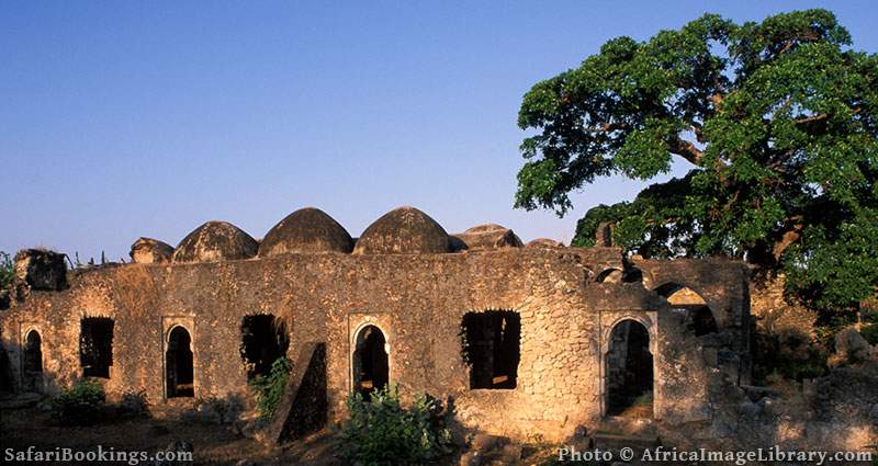 Kilwa ruins, Great mosque interior, built in the 14th century