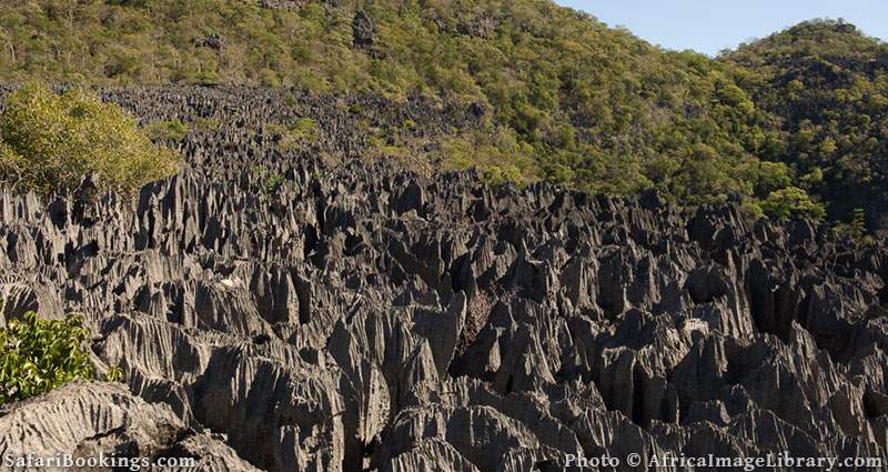 Ankarana massif, tsingy and deciduous forest at Ankarana Special Reserve, Madagascar