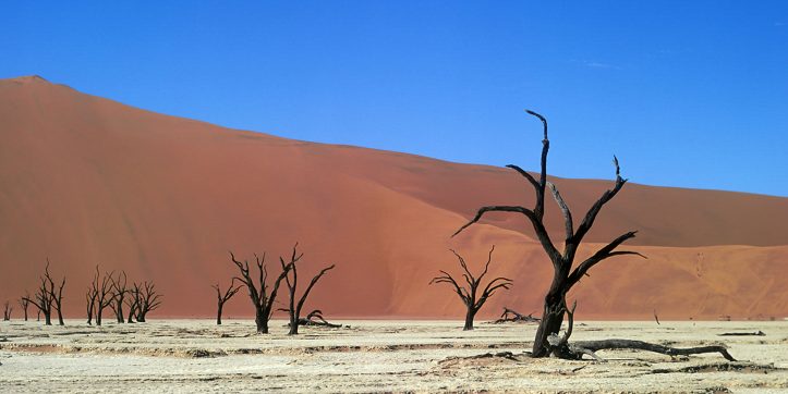Visiting Deadvlei - Planning a Trip to Visit Deadvlei in Namibia