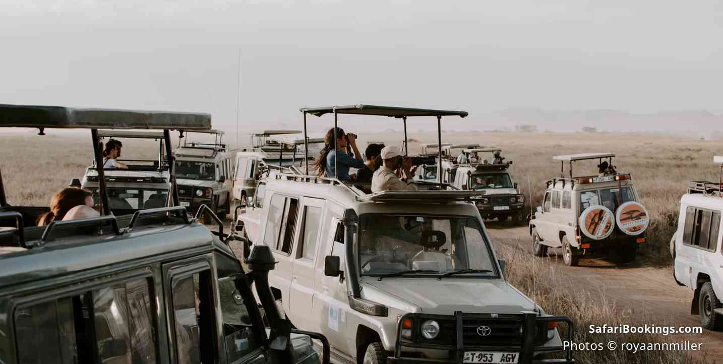 What to bring on a safari - Binoculars