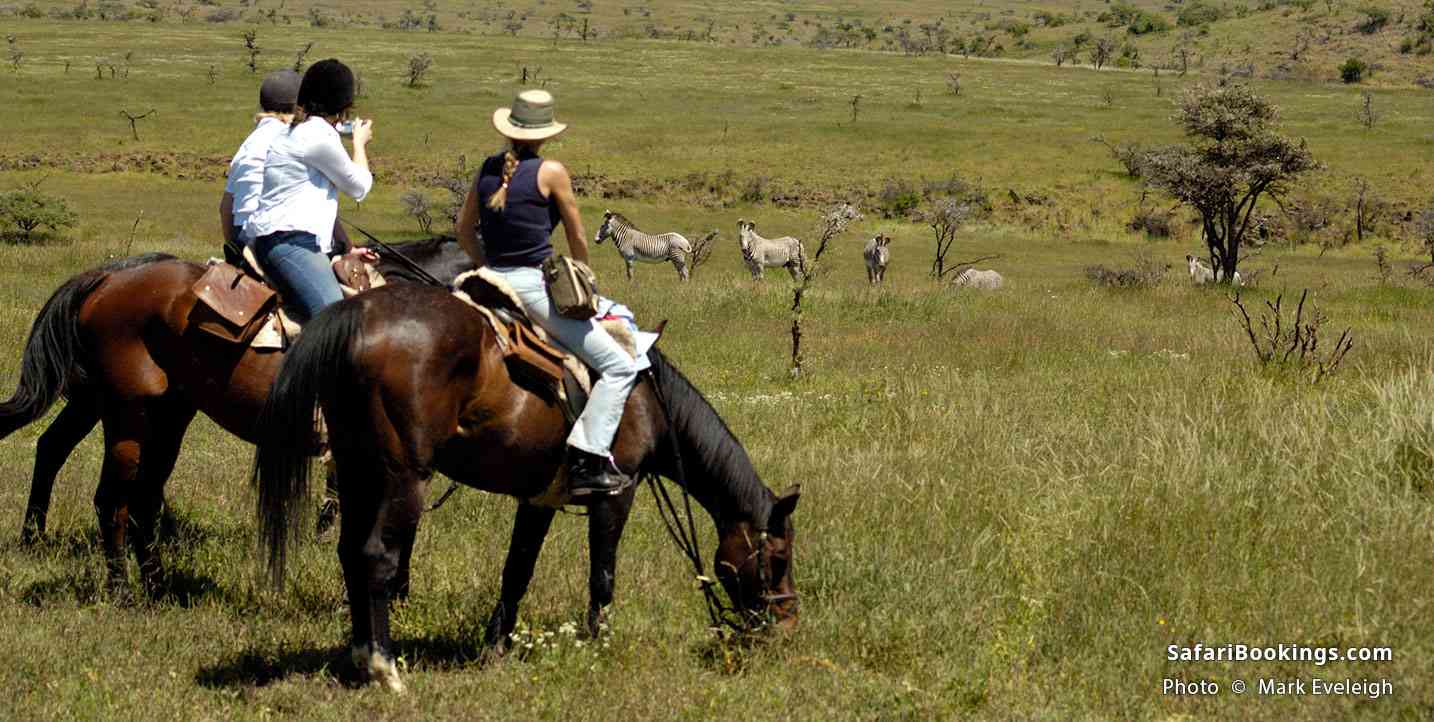Horseback riding safari