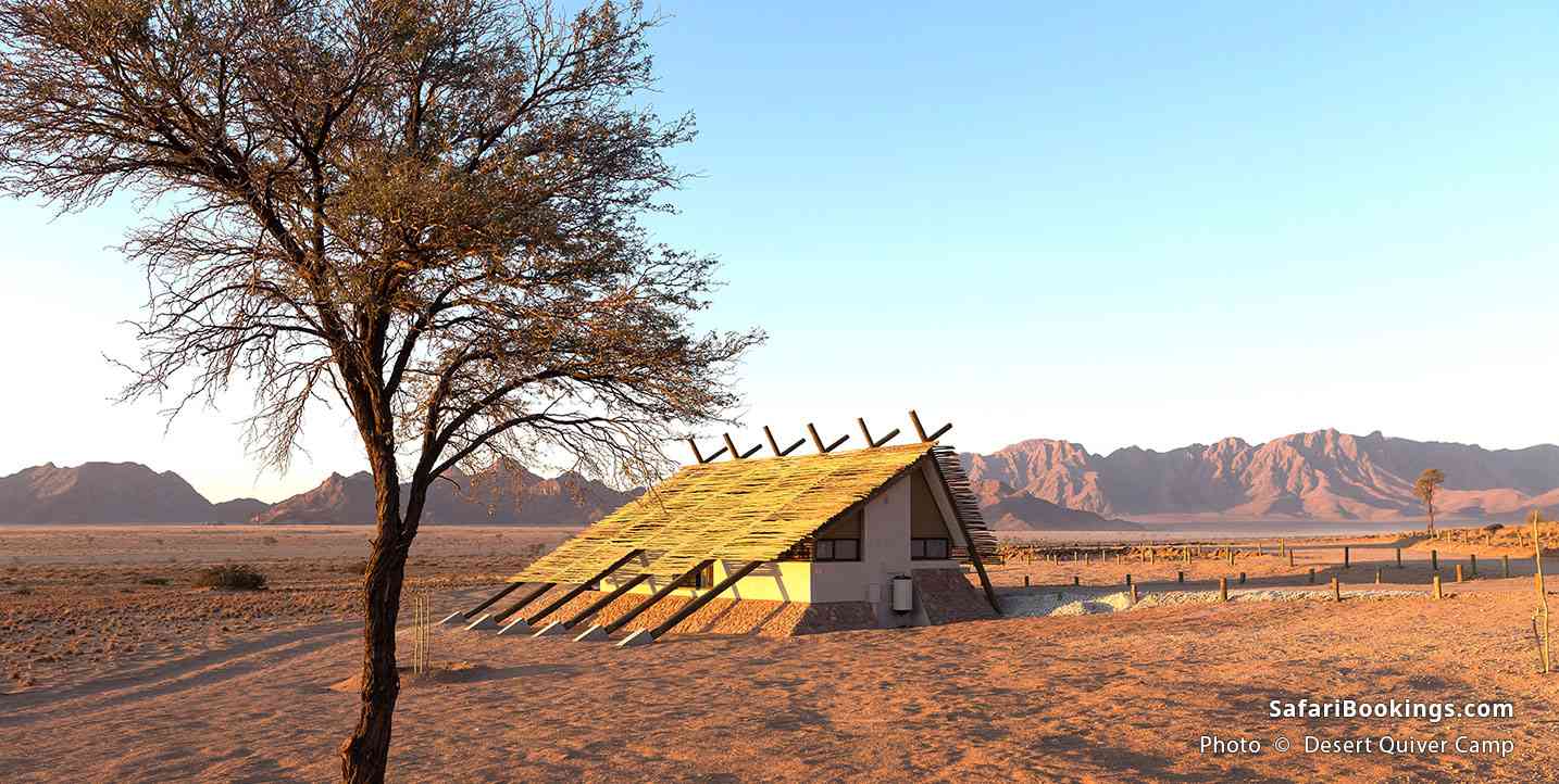 Desert Quiver Camp