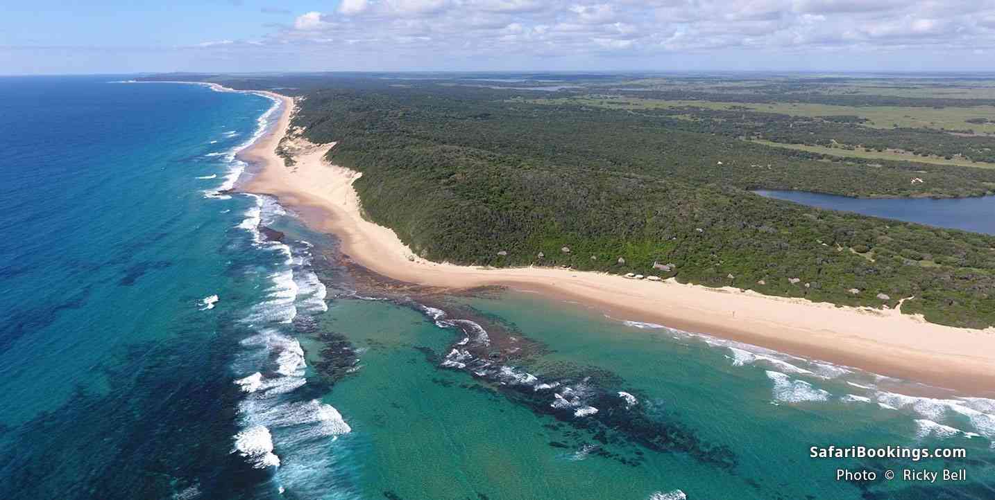 Aerial view of the beach and bush