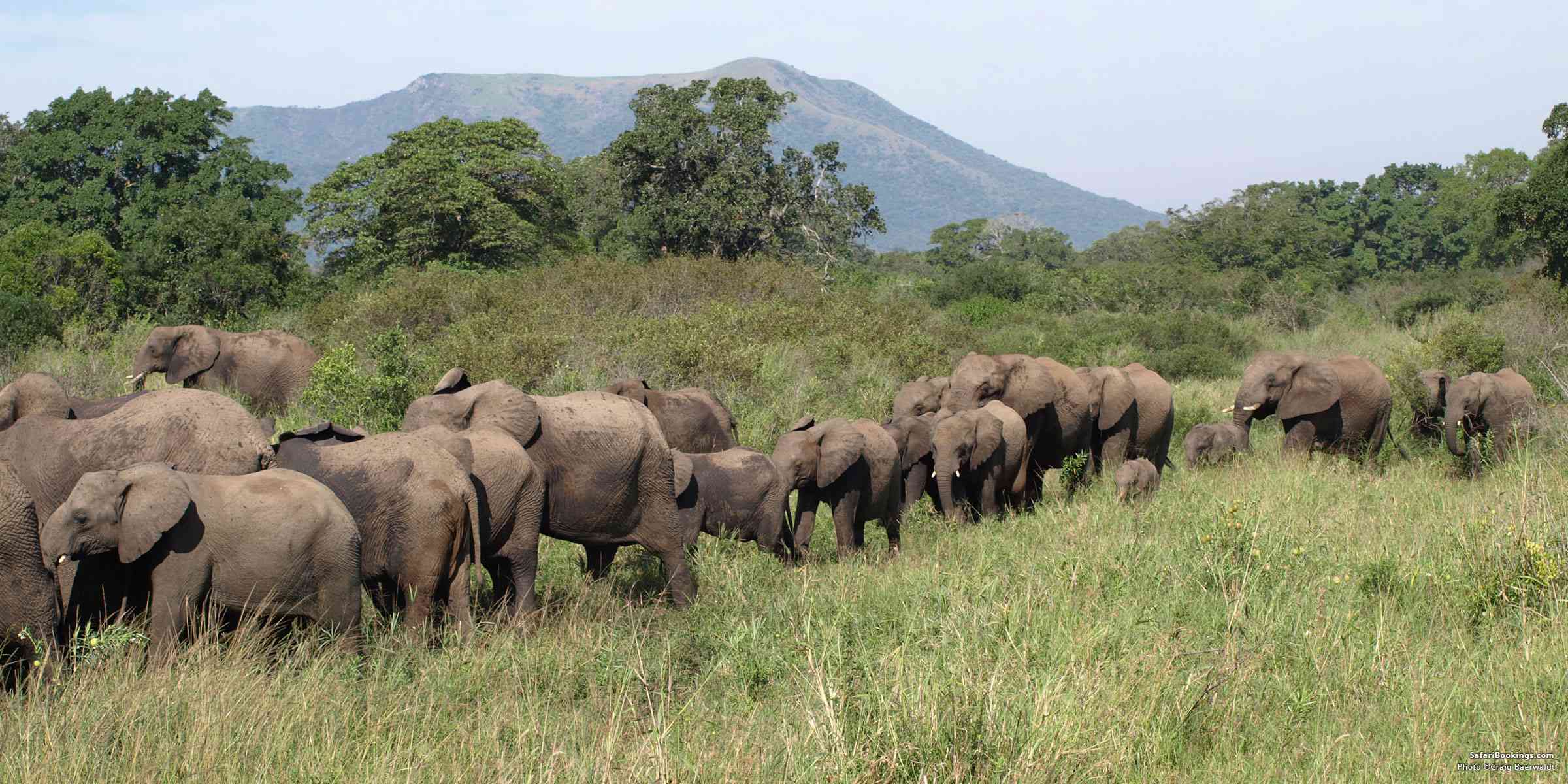 Best Game Reserves for Safaris in Kwazulu-Natal (Kzn) – SafariBookings