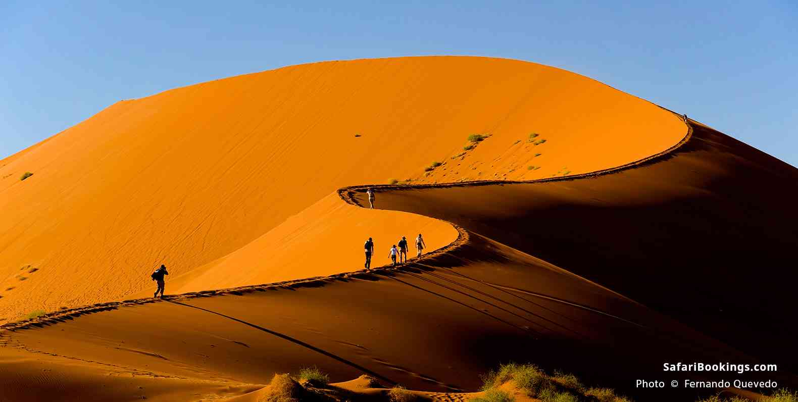 Tourists climbing a dune