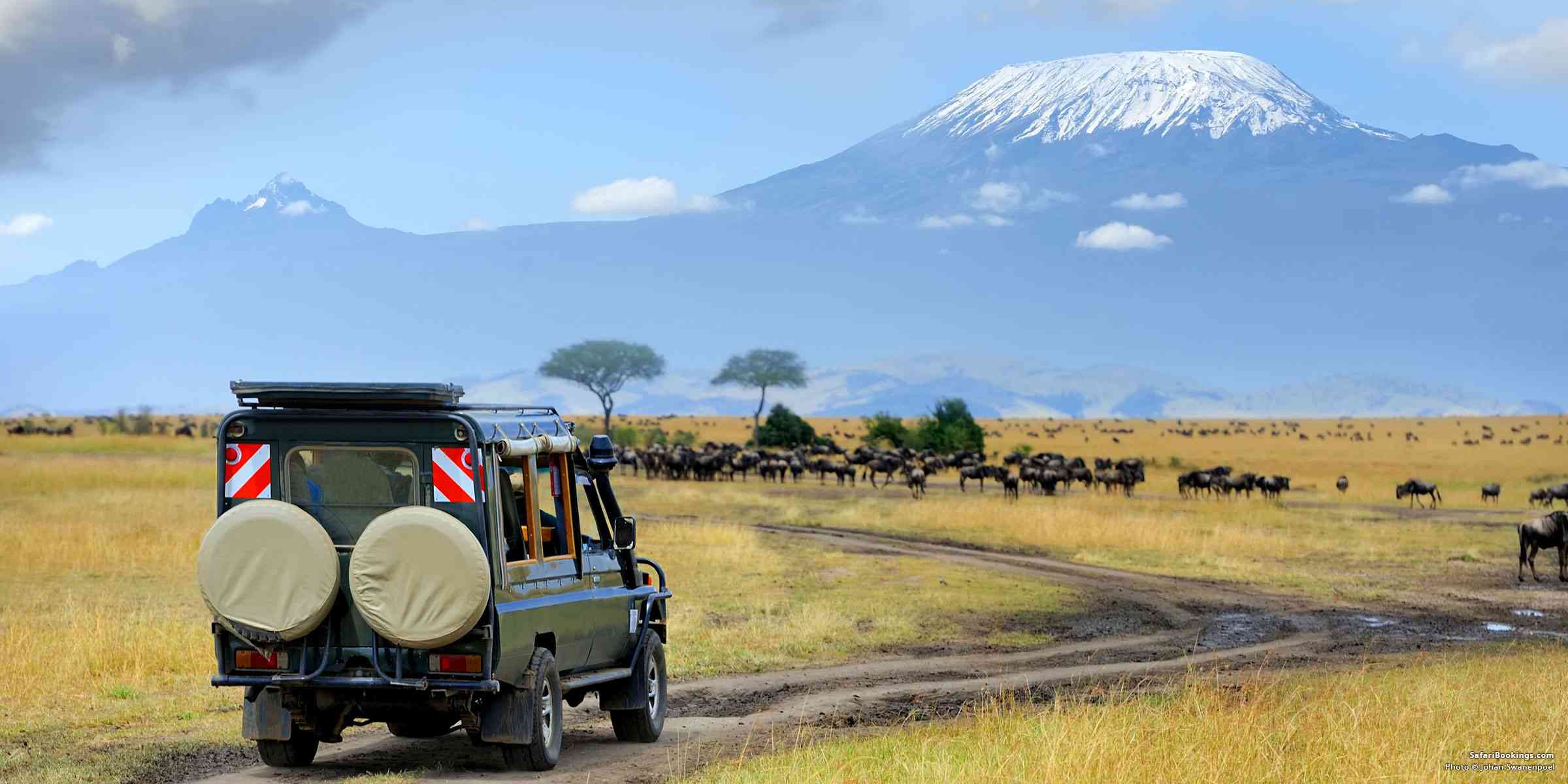 mount kilimanjaro and safari tour