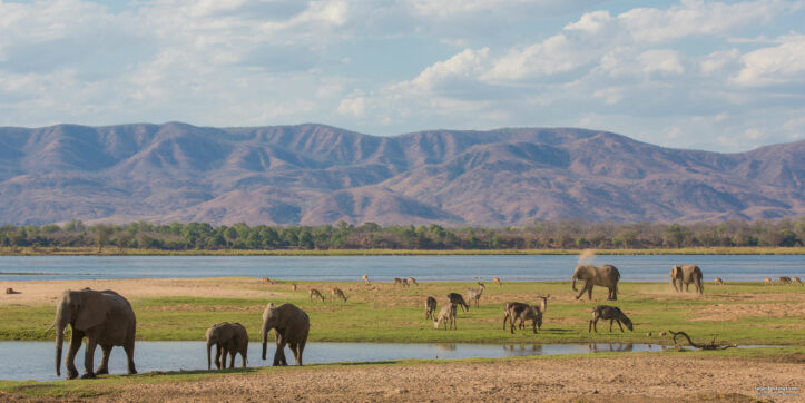 Top 10 Best Zambia Safari Lodges & Camps