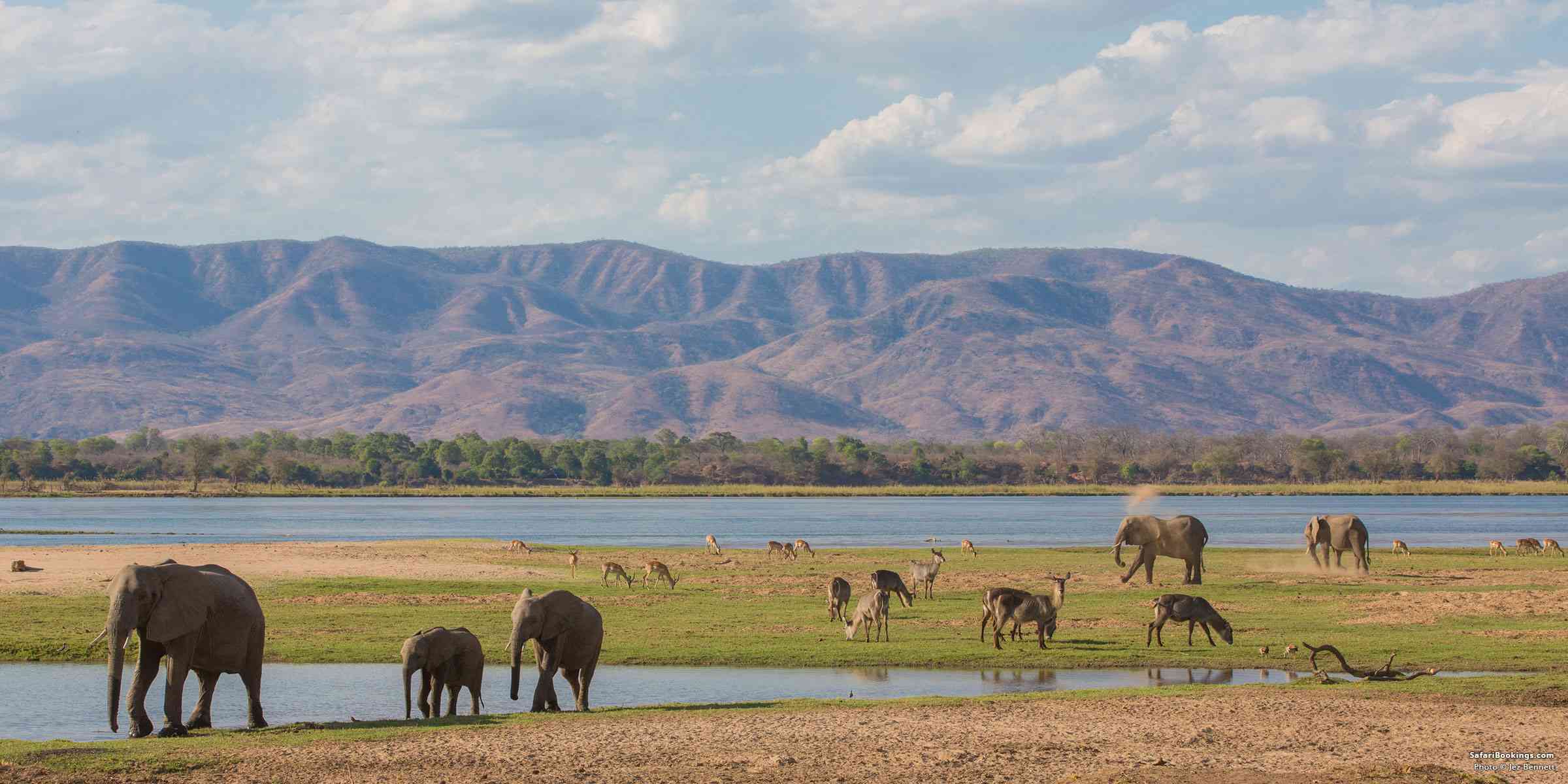 zambia safari options