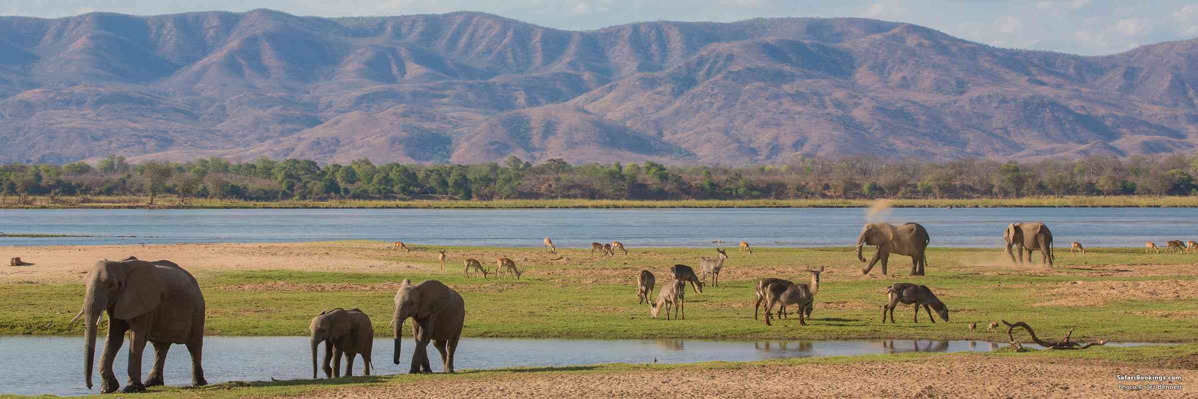 Top 10 Best Zambia Safari Lodges Camps Safaribookings