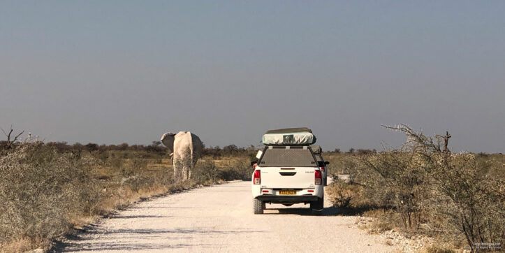 Guide to Driving in Namibia: 10 Useful Self-drive Tips
