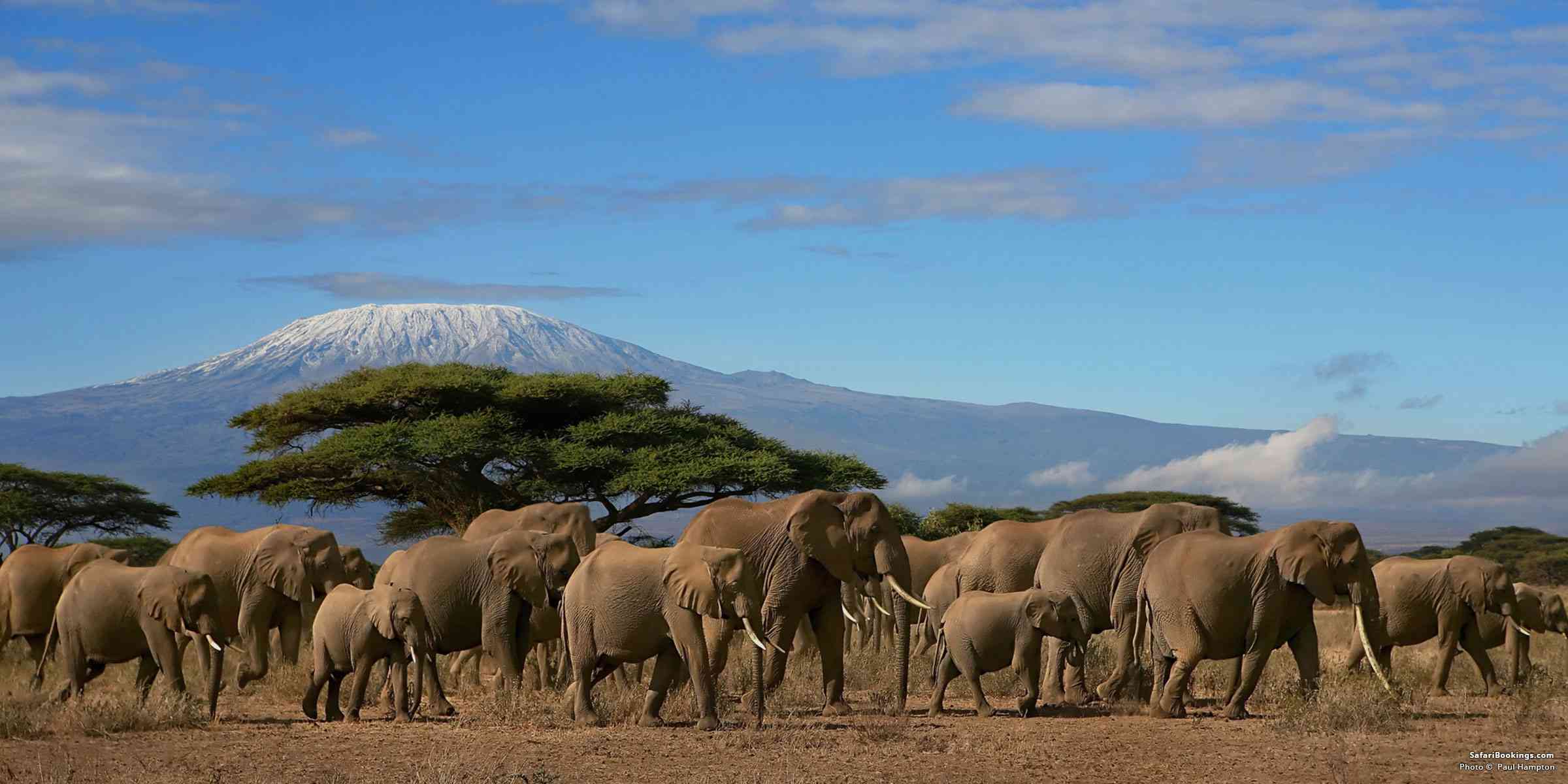 east african adventures tours and safaris