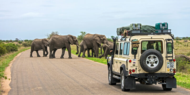 Top 15 Best Tourist Attractions in South Africa