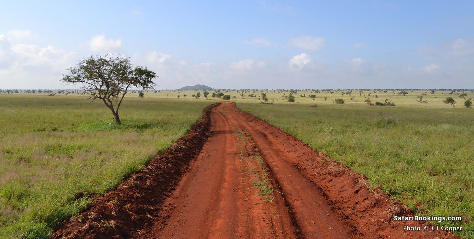Red dirt road in Lumo Community Wildlife Sanctuary