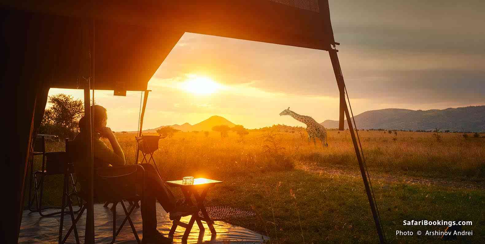 Giraffe walking past a woman in front of her tent at sunset at Serengeti National Park