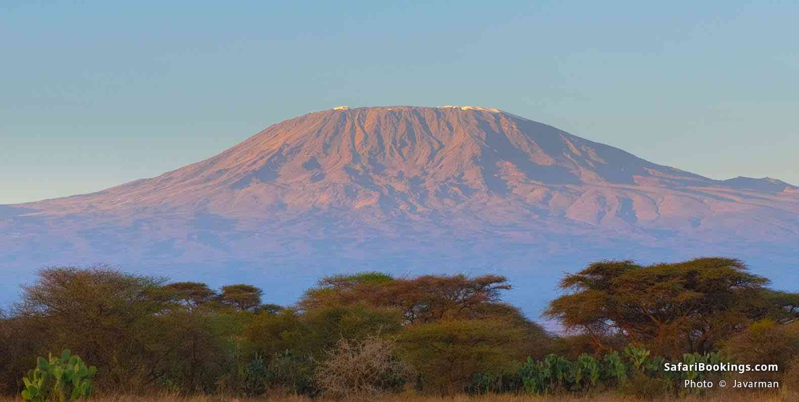 Kenya Vs Tanzania: Which Is Better for an African Safari? – SafariBookings