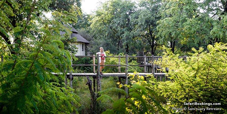 Treehouse with elevated wooden walkway
