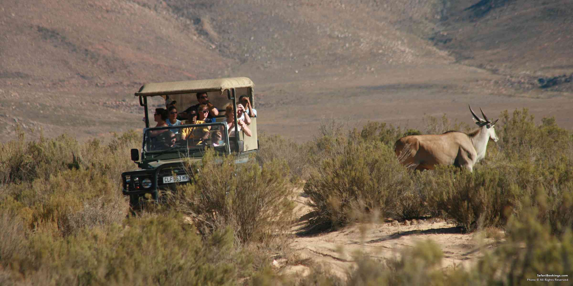 10 Tips on Vehicle Etiquette on Safari