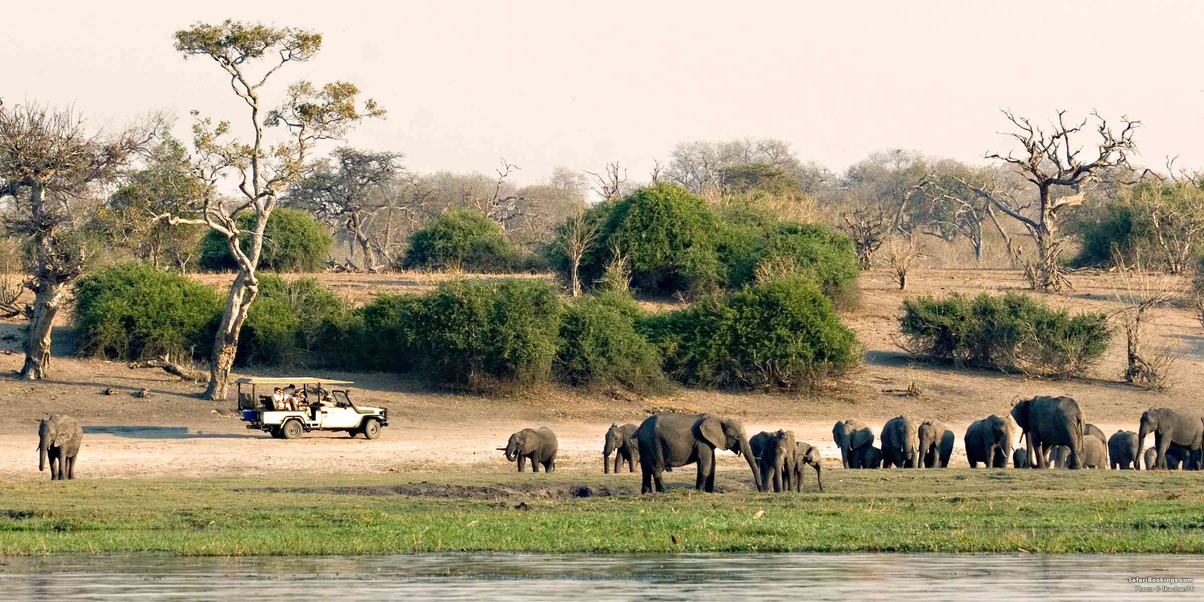 10 Top Activities While on Safari