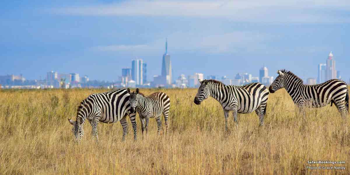 Top 8 Best Day Trips From Nairobi