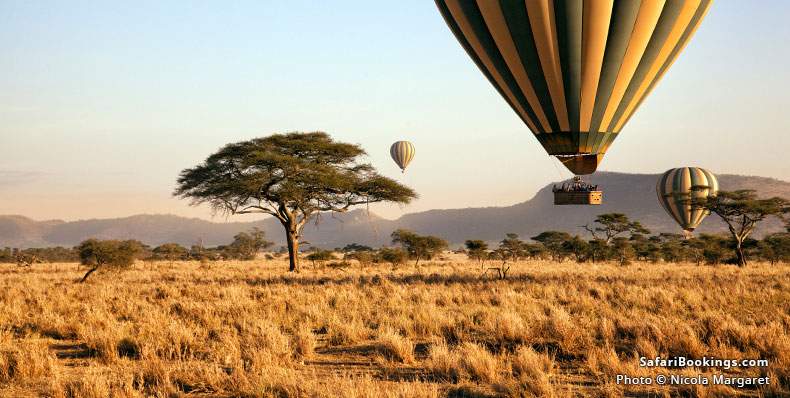 Top 10 Activities While on Safari – SafariBookings