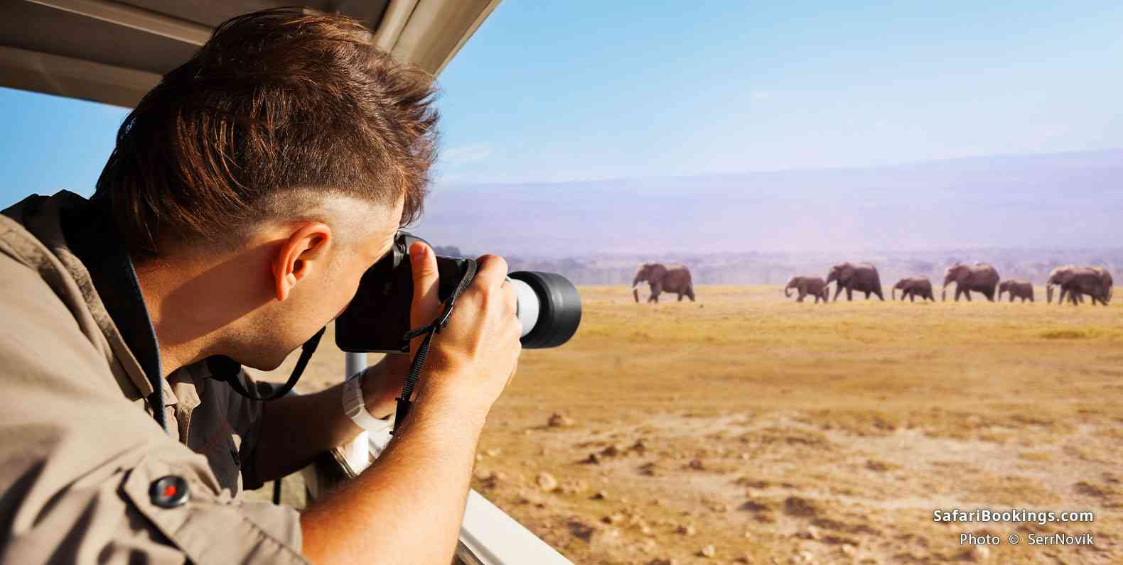 Tourist photographing elephants