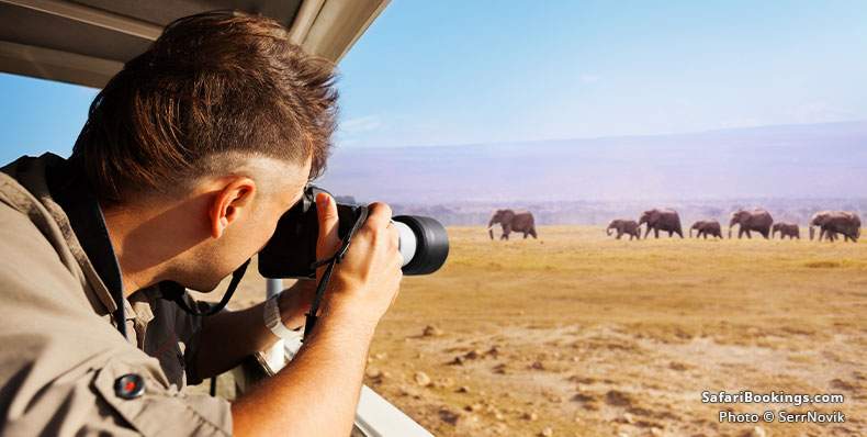 Tourist photographing elephants