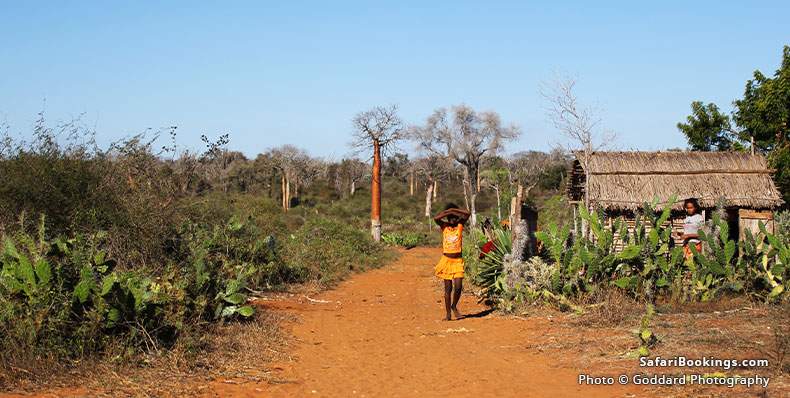 Local homestead in dry environment