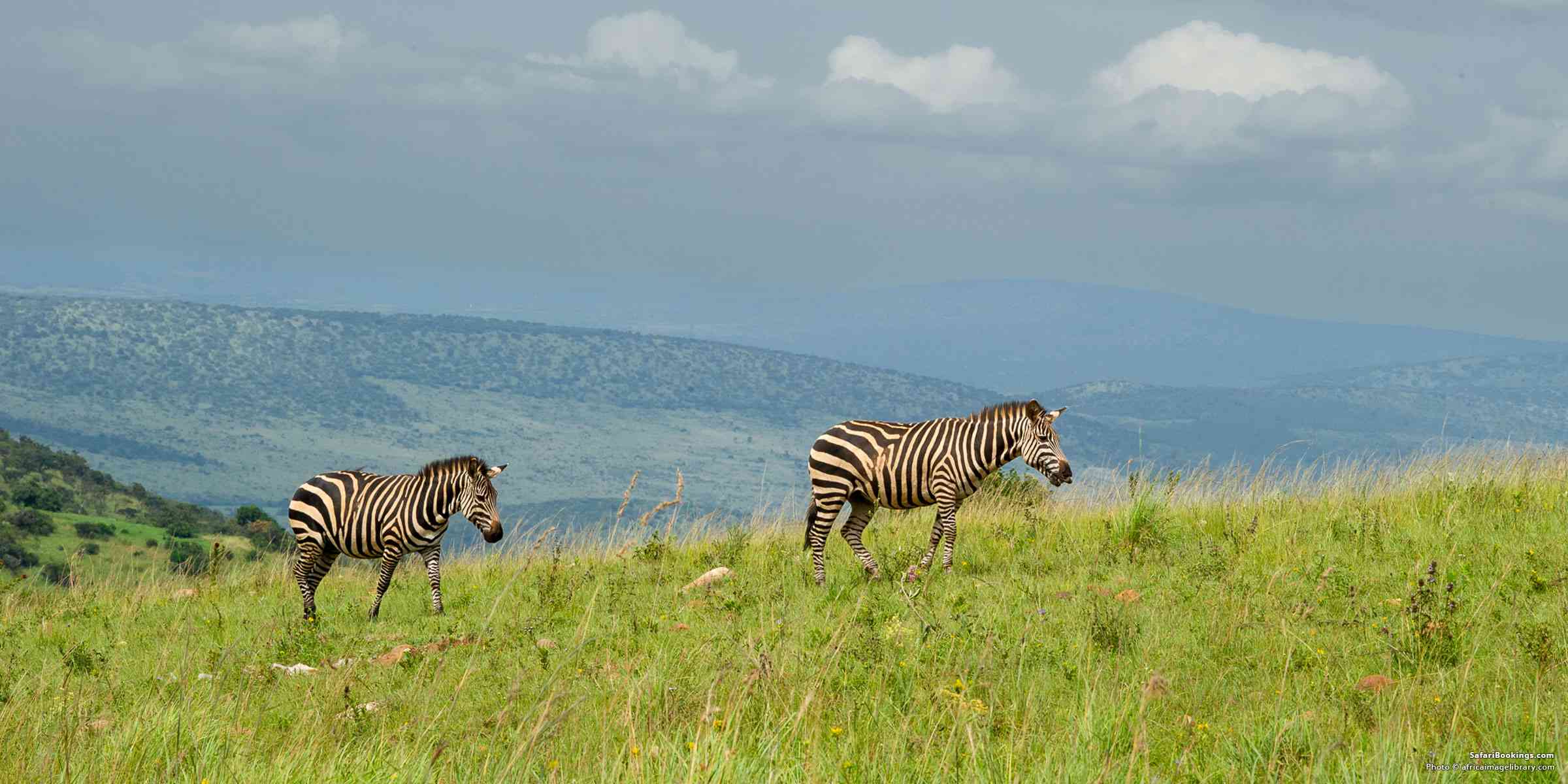 Akagera National Park, Rwanda: A Story of Survival