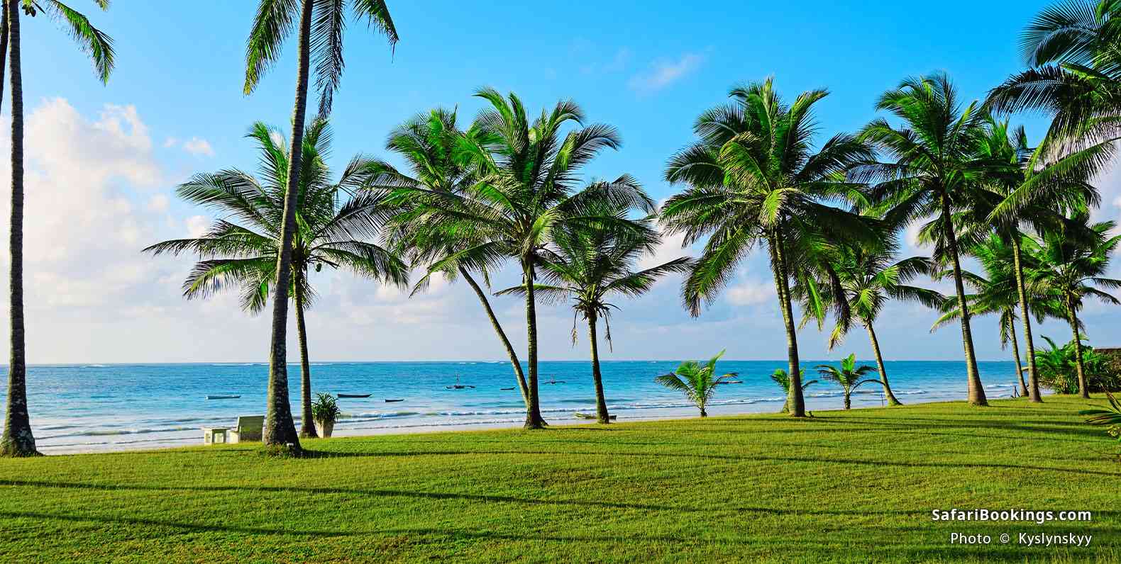 Palm trees in a tropical garden along the Diani Beach