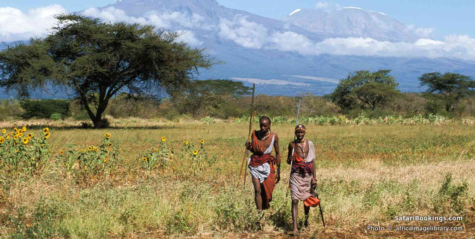 Maasai warriors walking in front of Mt. Kilianjaro