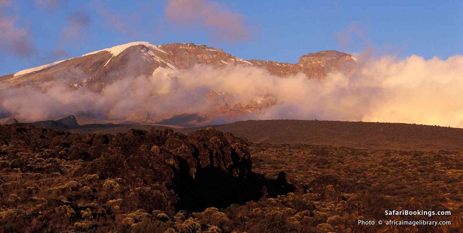 Snow-capped Mt Kilimanjaro peak seen from Shira Plateau
