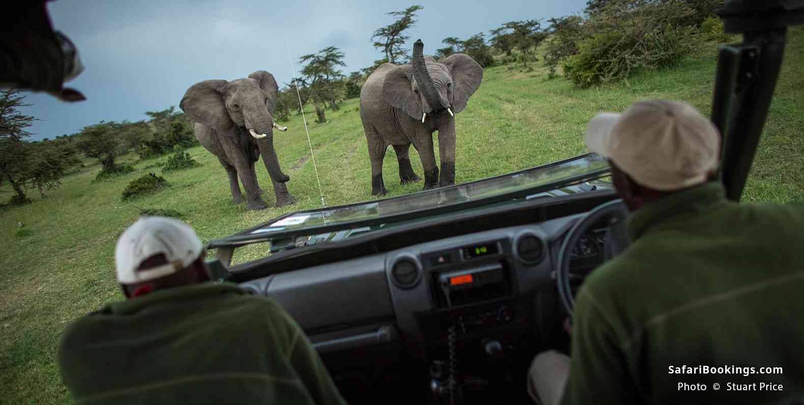 Safari vehicle and elephants in Naboisho Conservancy