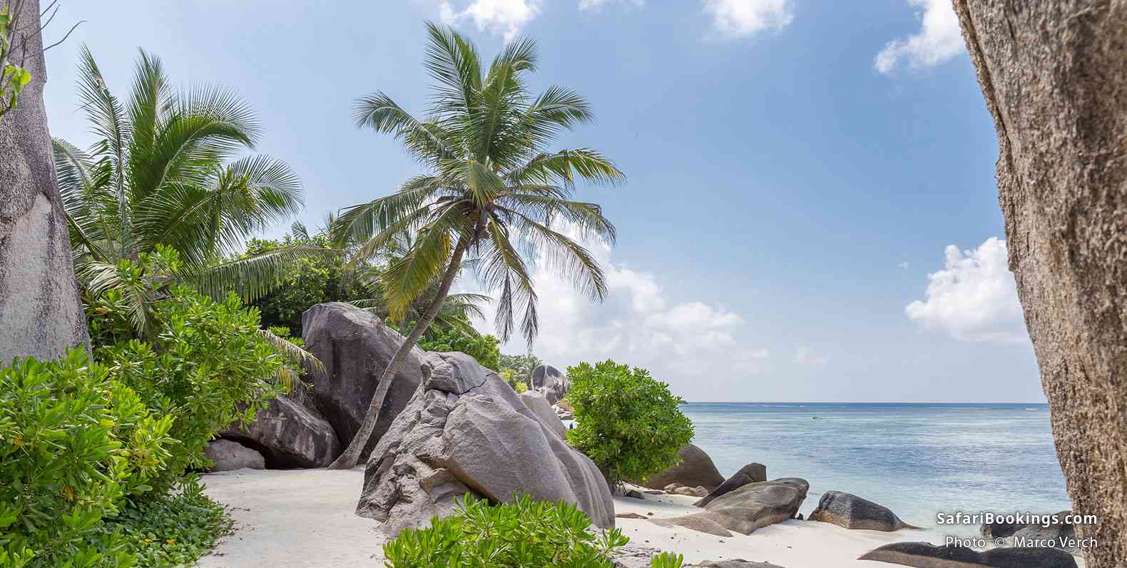 Boulders and palm trees on Anse Source d'Argent beach