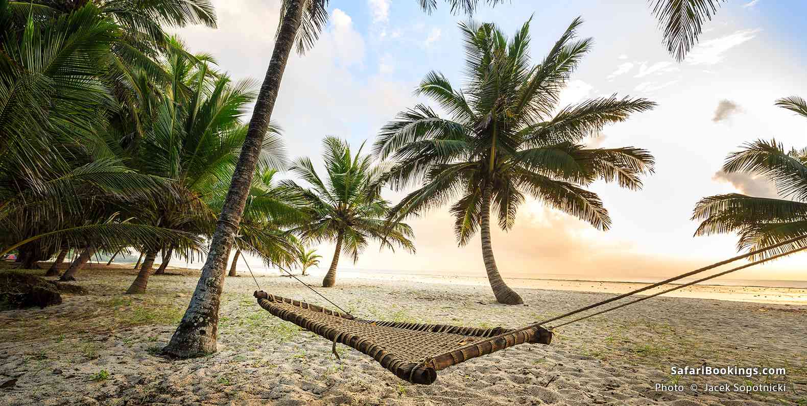 Hammock hanging between palm trees, Diani Beach, Mombasa