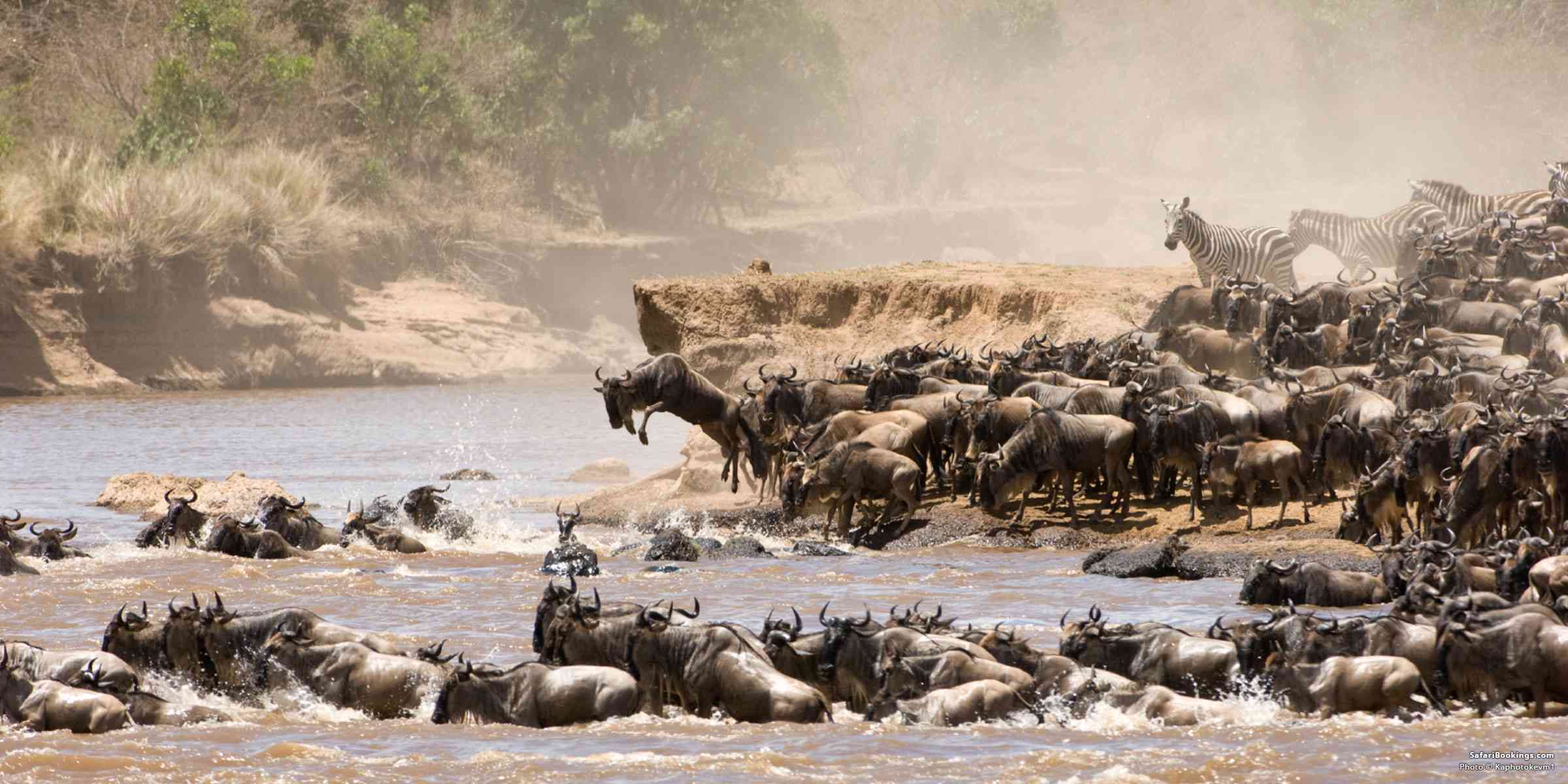 Top 10 Best African Safari Parks and Destinations of 2024
